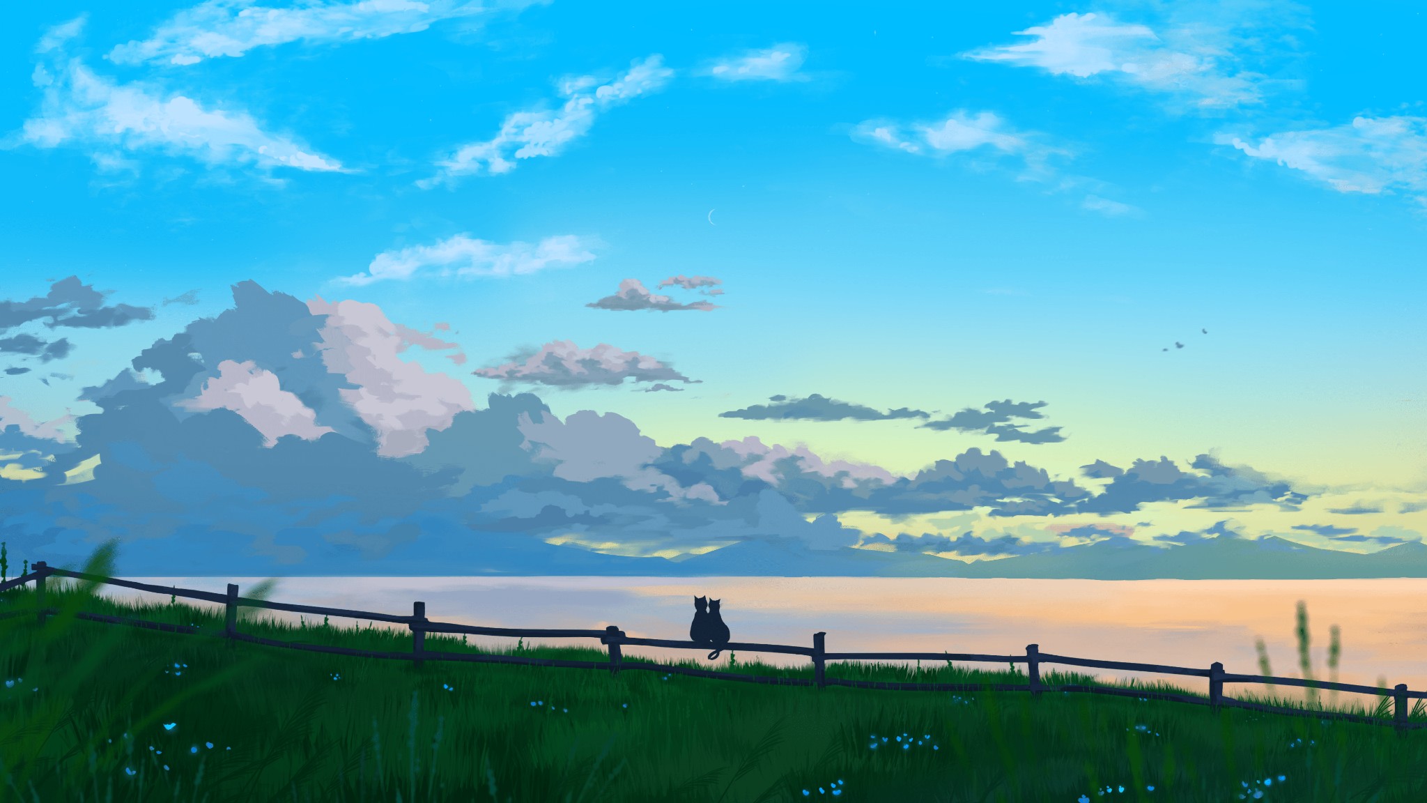 test 